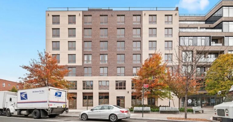 Pure Paws Veterinary Care to Relocate to 5K SF at Brooklyn’s 1 Putnam Avenue – Commercial Observer