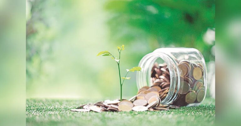 Mutual Fund Comparison Guide: How to compare two mutual funds: A beginner’s guide to smarter investing | Personal Finance