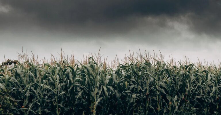 China, weak monsoon, AI boom: 10 trends investors should watch in H2 2026 | Personal Finance