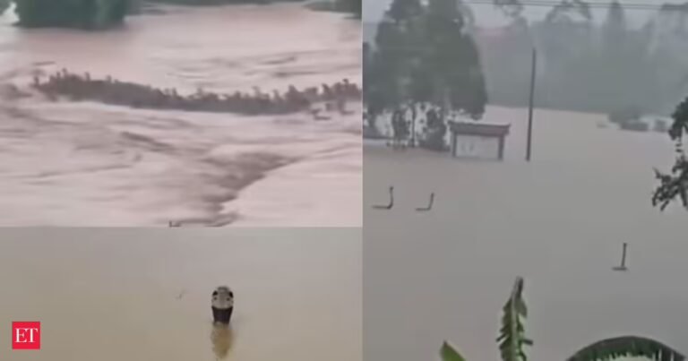 Watch Snakes on the street: Nearly 900 snakes, including cobras, escape flooded farm in China, enter nearby villages
