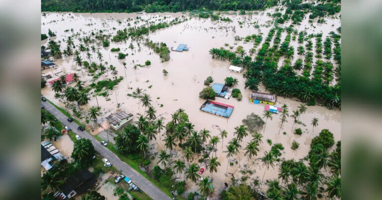 Climate ‘black swan’ risks: Why investors are preparing for the worst | Insurance News