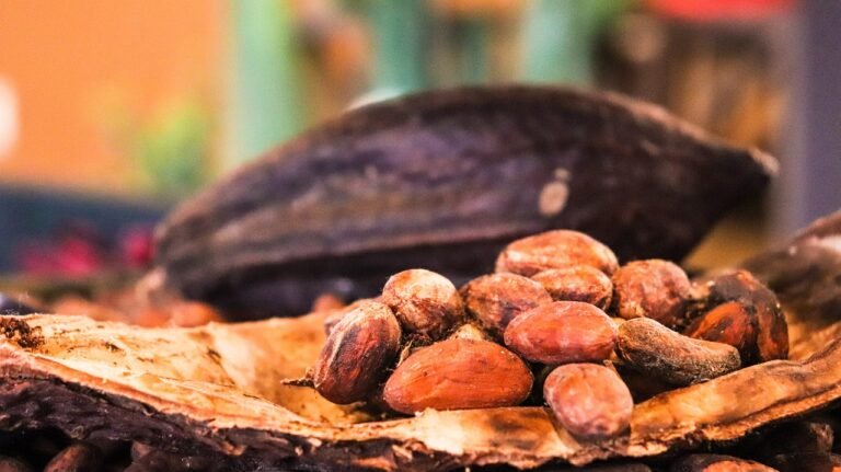 Cocoa Prices Recover Ahead of the Weekend