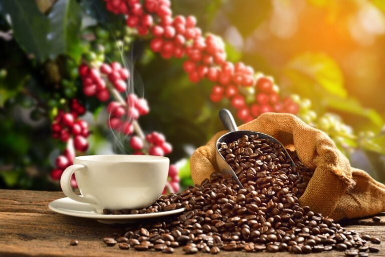 Coffee Prices Sharply Higher as Brazil’s Coffee Harvest is Delayed