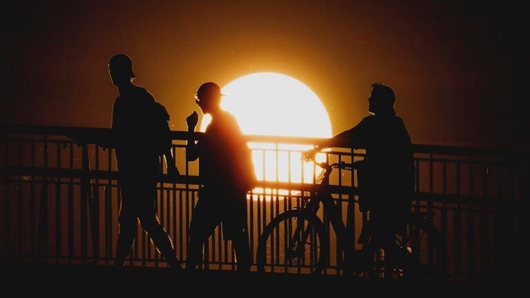 Western Europe heatwaves hit GDP, food and insurance