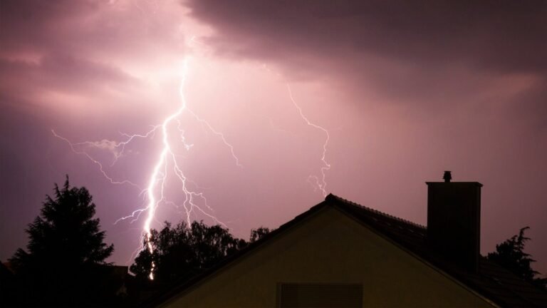 Why Saving a Tree Struck by Lightning Could Bankrupt You