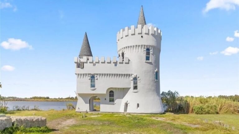 Will New Orleans’ Iconic Bayou Castle Ever Find a New King?