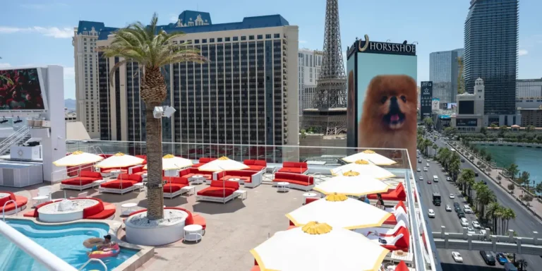 I Stayed at the Vanderpump Hotel on the Las Vegas Strip; Worth Booking