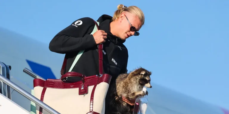 Erling Haaland Brought a $750 Taxidermy Raccoon Home From World Cup