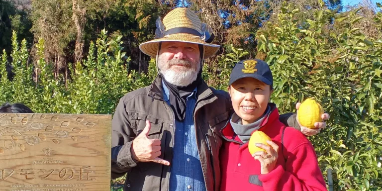 Priced Out of Hawaii, They Moved to Rural Japan and Bought a $25K Home