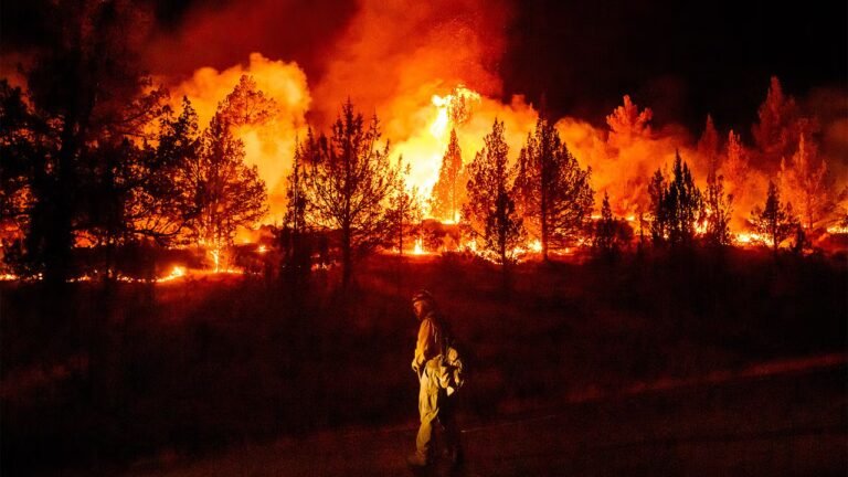 Wildfires are more extreme in Europe and North America, but decreasing globally. Here’s why