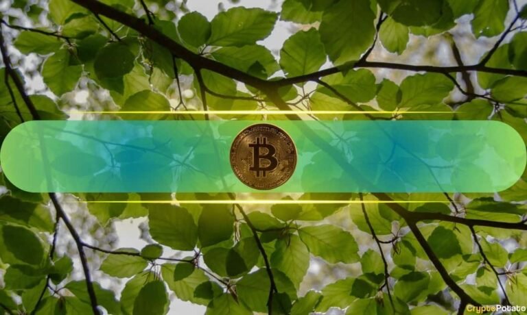 Bitcoin’s Recovery Gains Momentum, Putting July Off to a Strong Start