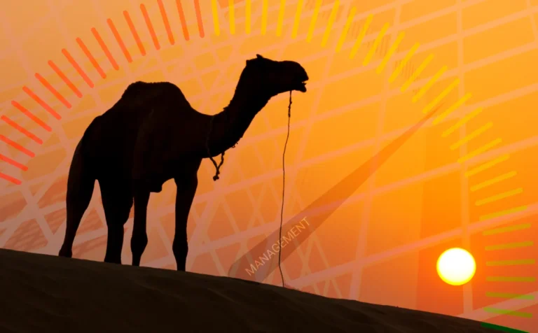 How US regulators could stop management driving Camels