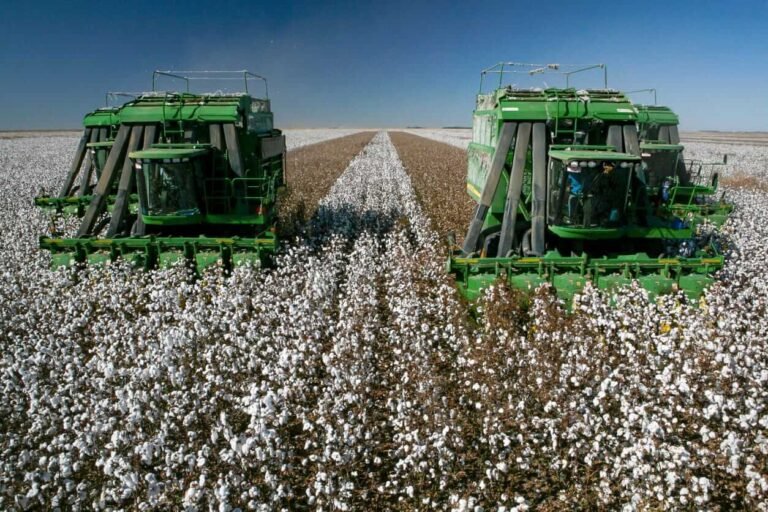 Cotton Easing Lower on Thursday