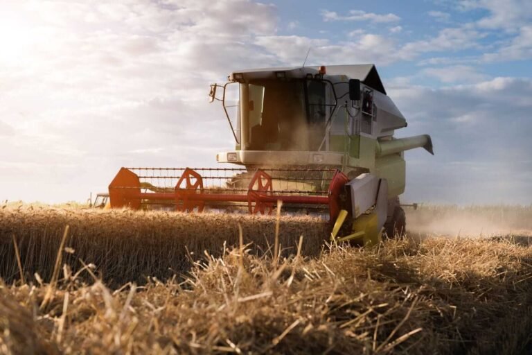 Wheat Rallies on Wednesday following Black Sea Escalation