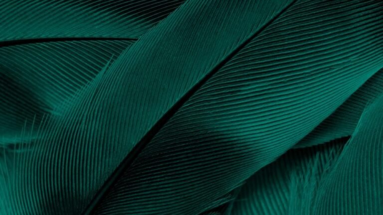 Predicting What Could Move This Robinhood ETF