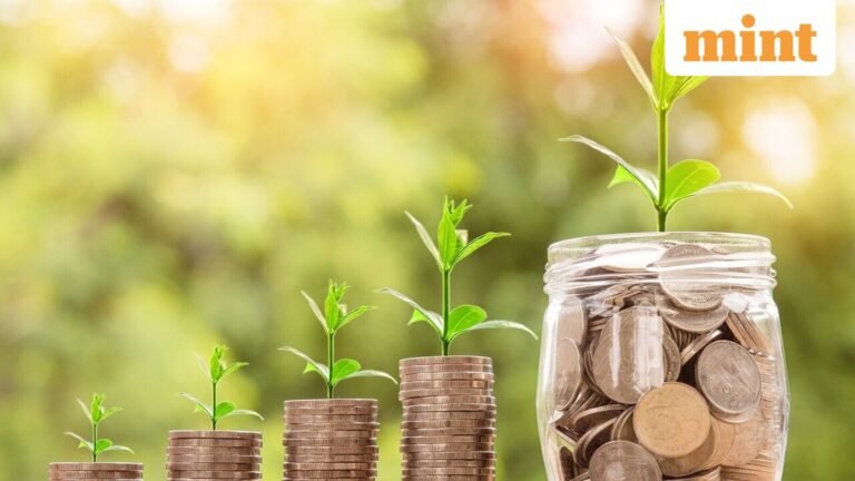 NaBFID zero-coupon bonds explained: Investment size, returns, maturity, tax rules to know