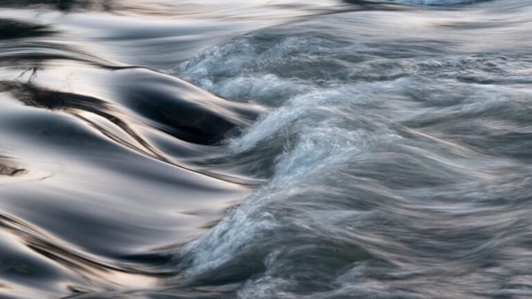 The Defensive Shift: This Week’s Top 10 ETF Inflows