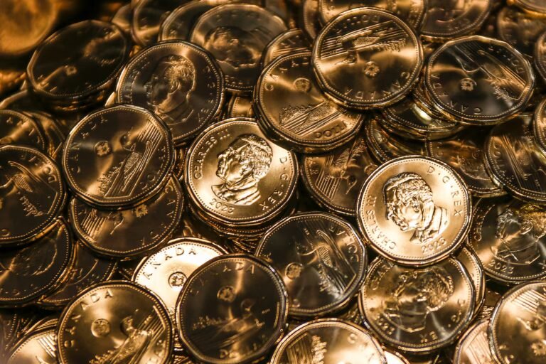 Canadian dollar rebounds from one-week low as oil climbs