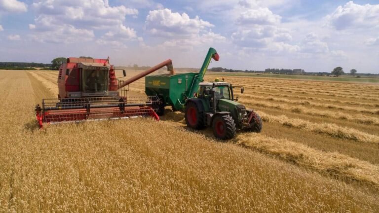 Wheat Facing Monday Weakness | Nasdaq