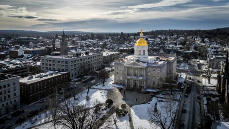 New Hampshire snuffs out trailblazing bitcoin bond effort