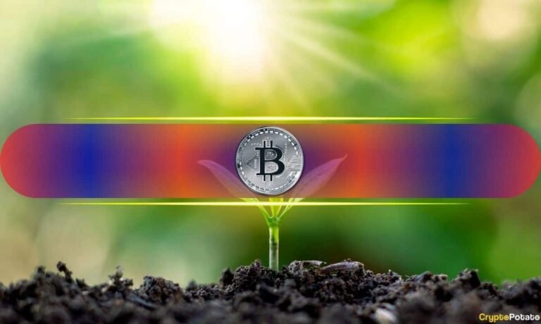 This Group of Bitcoin (BTC) Investors Is Taking Over the Market