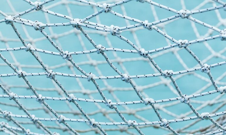 Consumers Assemble New Safety Nets as Savings Thin