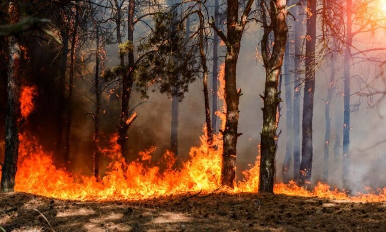 Trump ties Canada’s wildfire smoke to a fresh tariff threat