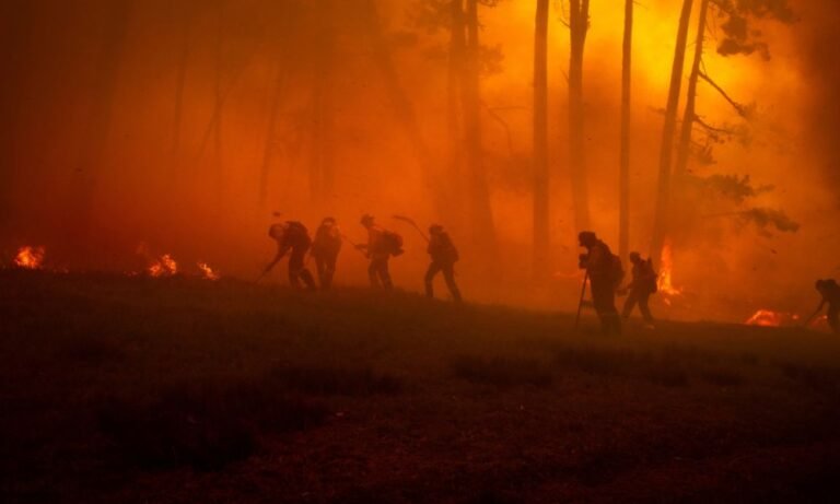 Canada’s insurers stay well positioned to soak up wildfire losses, a rating agency says