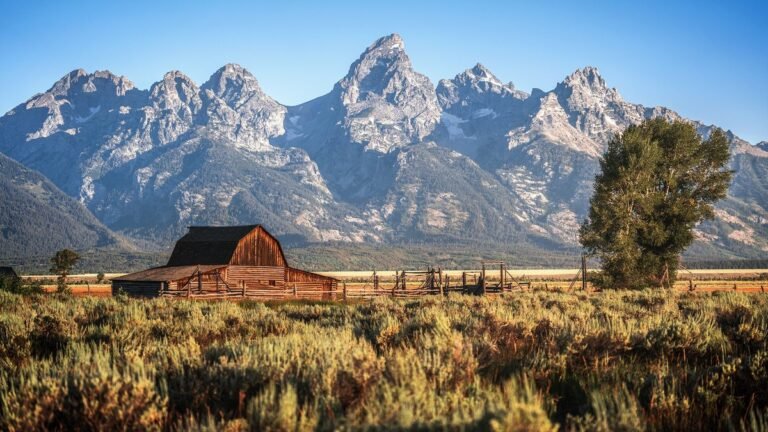 The ‘Yellowstone’ Effect: Why Ranch Prices Have Doubled in 10 Years