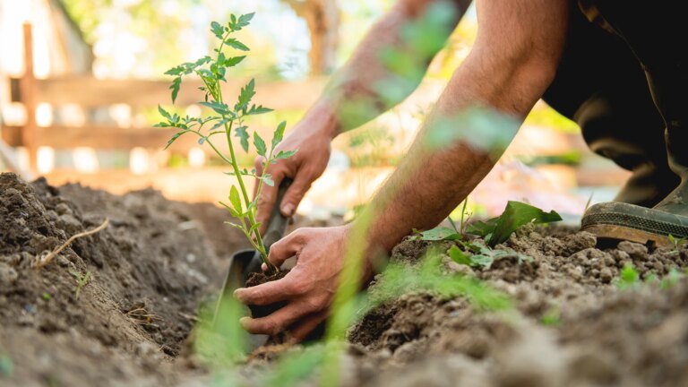 This Startup Thinks Gardening Could Be the Wellness Habit We’ve Been Missing