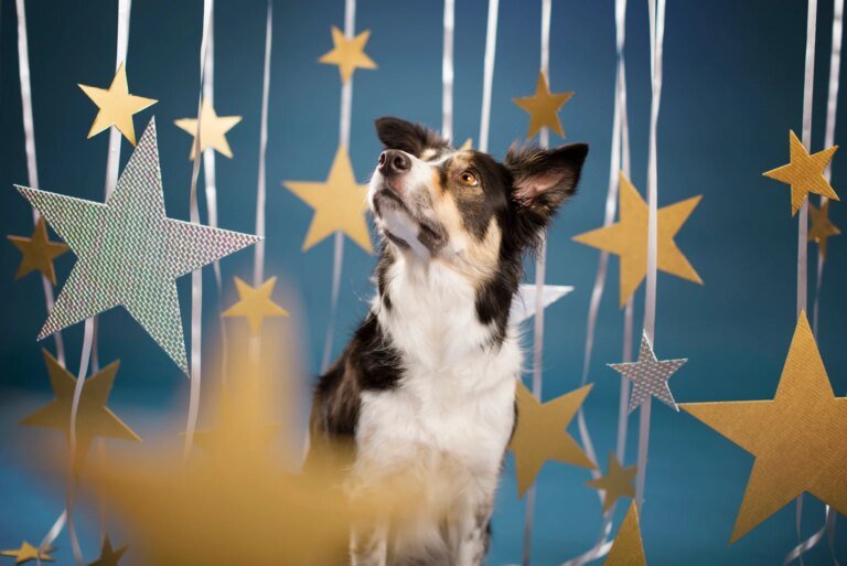 July Graham Value All-Stars (GVAS) Emit 10 Beaming Buys