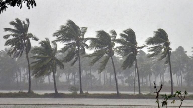 Monsoon Update: Will It Rain Next Week? IMD Predicts Active Monsoon Across India; Delhi to See 4-Day Wet Spell