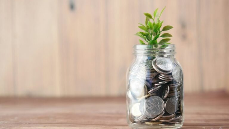 Systematic Investment Plan SIPs and Flexi Cap Funds Guide
