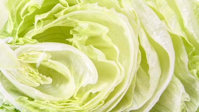 Cyclospora outbreak: FDA says it made a ‘false positive.’ Taylor Farms lettuce products are still being recalled 