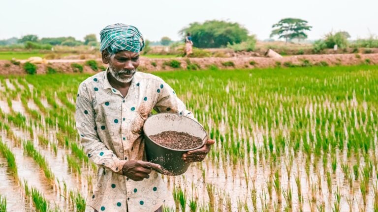 When Will PM Kisan 24th Instalment Be Released? Know Tentative Date, Guide to Check Status