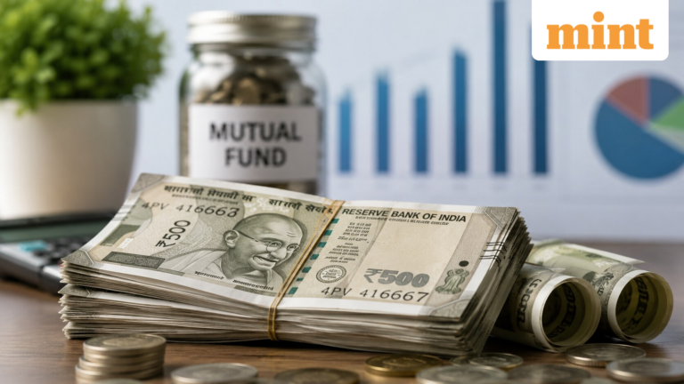 Mutual funds holding cash: Is high cash balance a red flag for investors? Experts explain