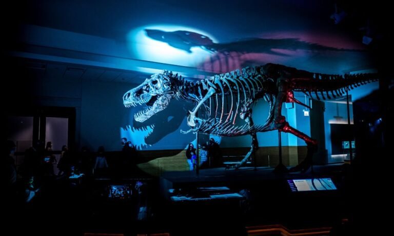 Jur-asset Park? T Rex skeleton could cost UHNW investor up to $30M this week