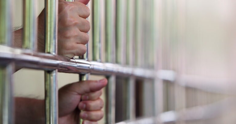 Tax Fraud Blotter: Any port in a storm